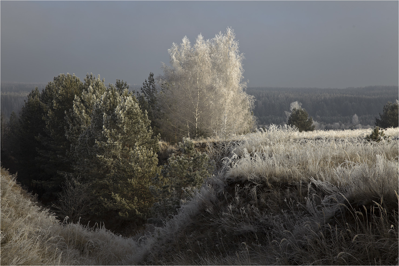 позитивнаяна