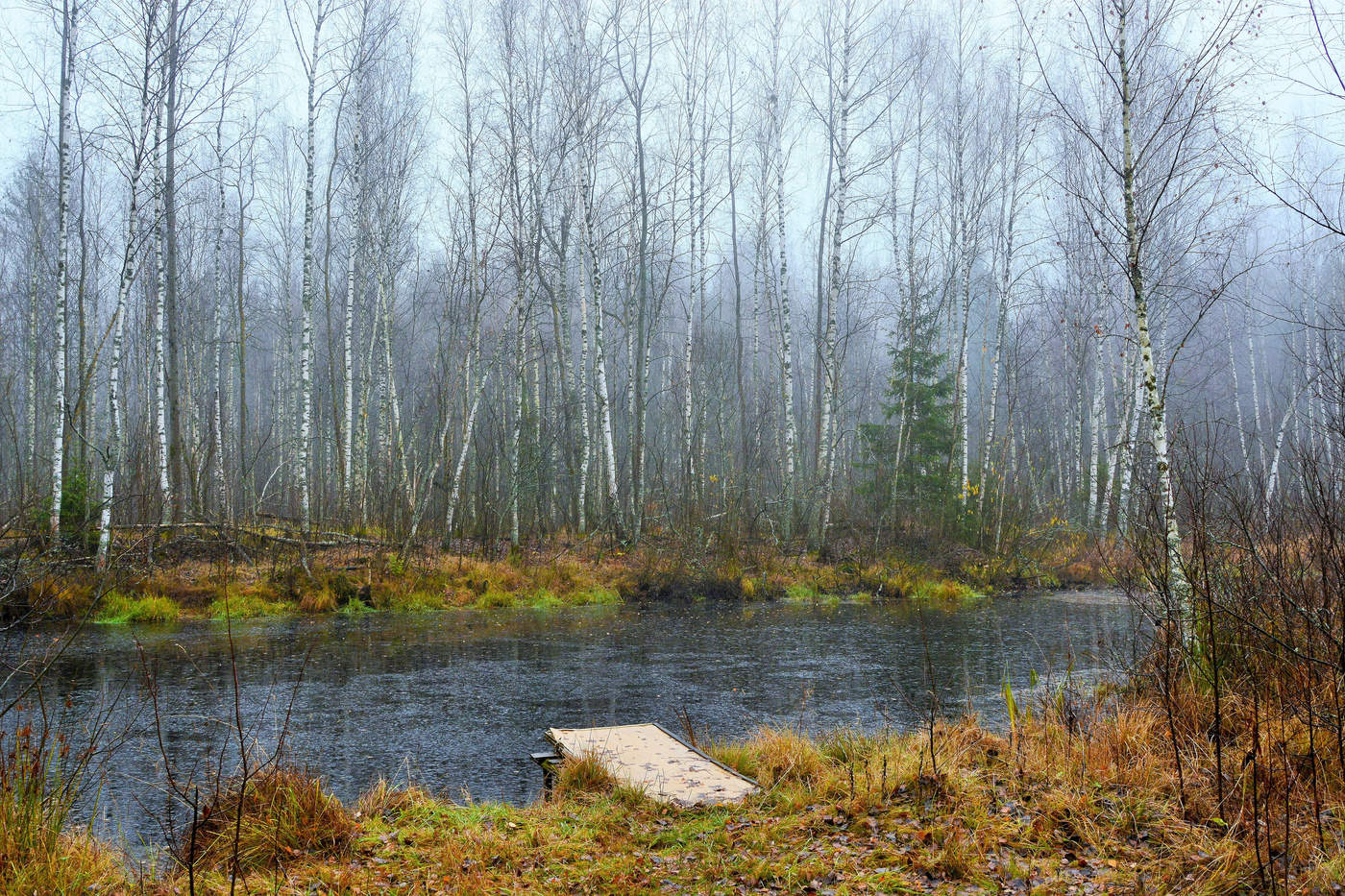 "В этом мире , гле осень ..."