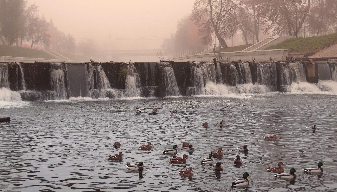 Туман опустился на вечерний город