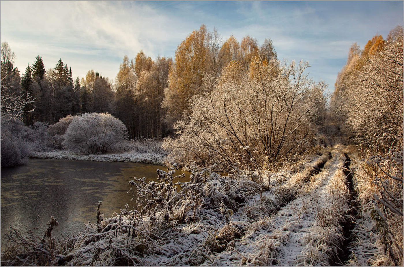 Без названия