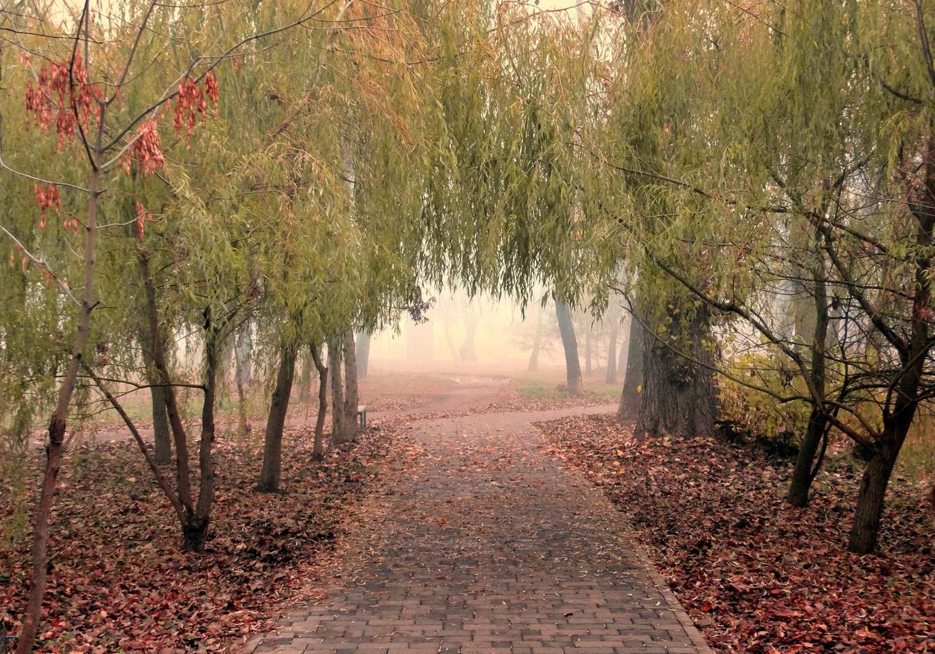 Последний тёплый ноябрьский день