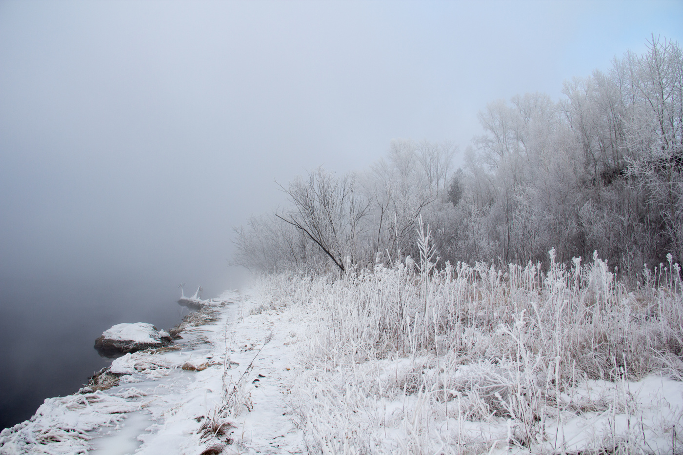 На берегу реки Енисей