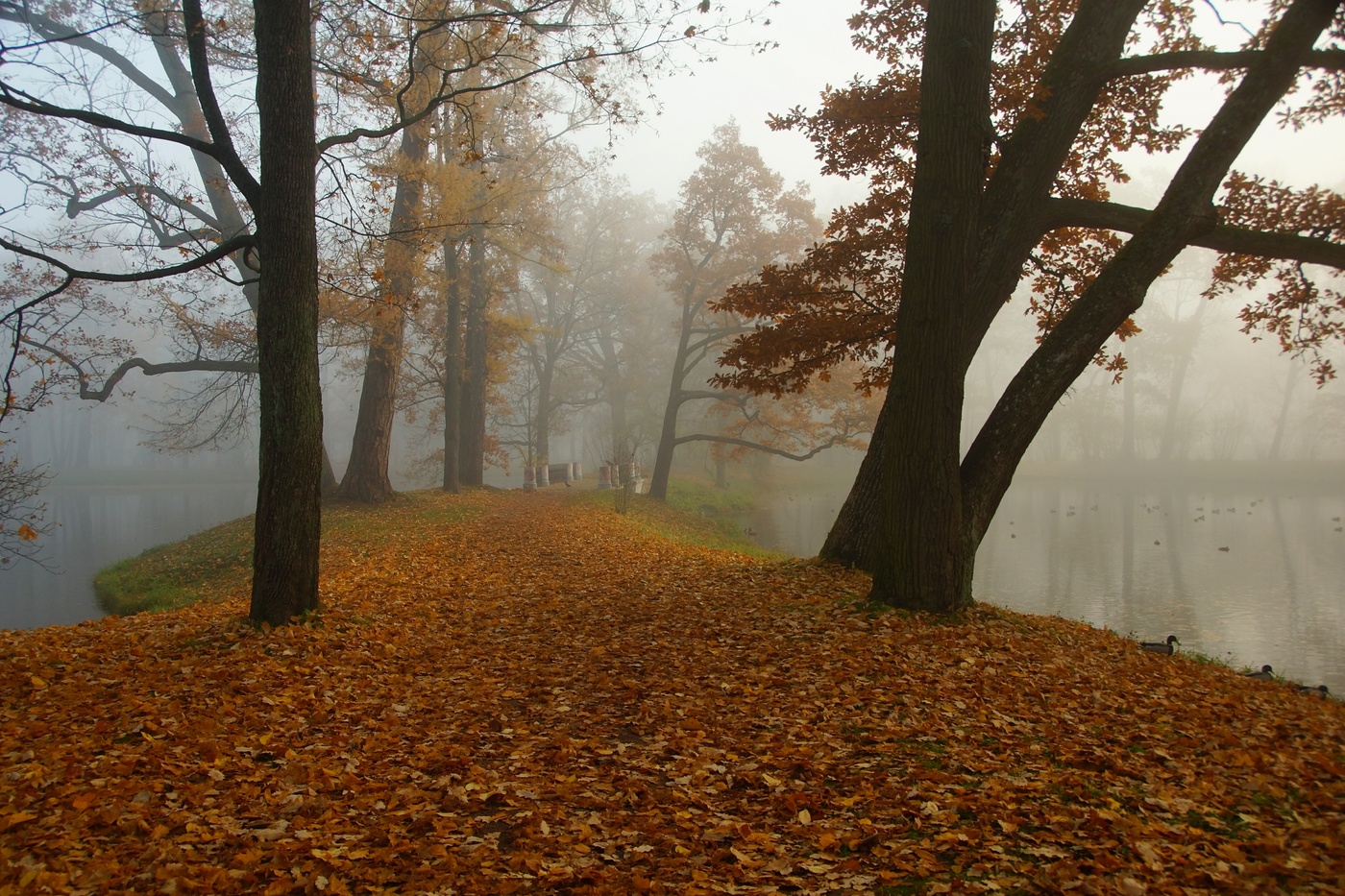 Грустное утро...