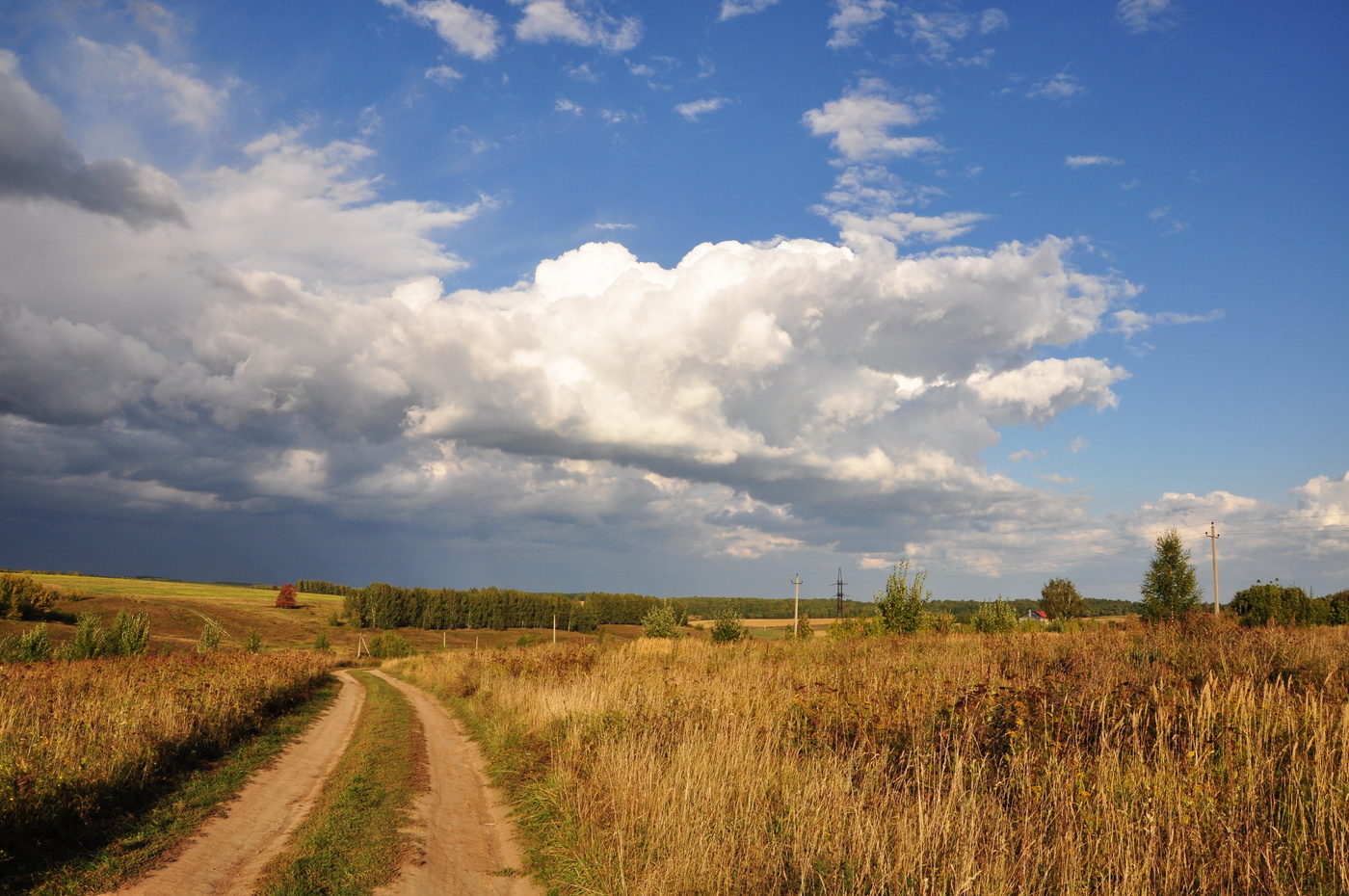 Дороги осени.