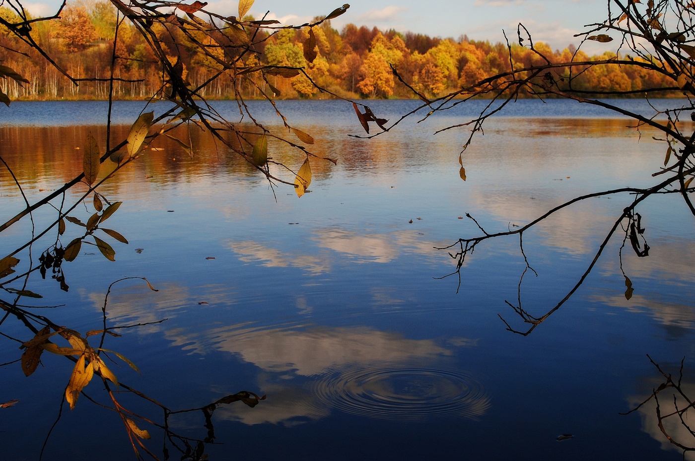 Прощальная краса...