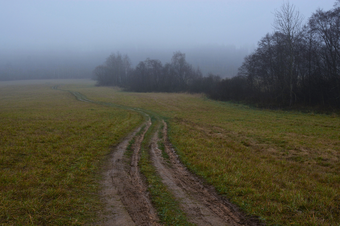"Дремлет взрытая дорога ..."