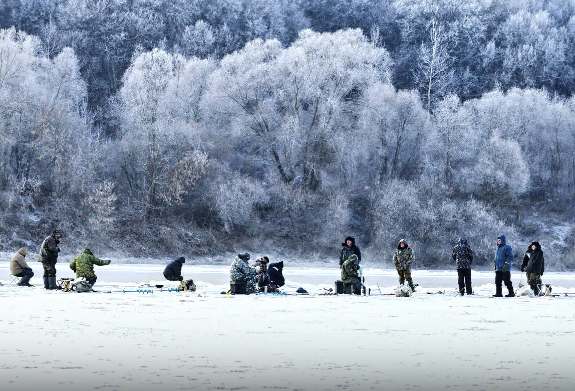 Берегись ,рыбка! Сезон открыт!