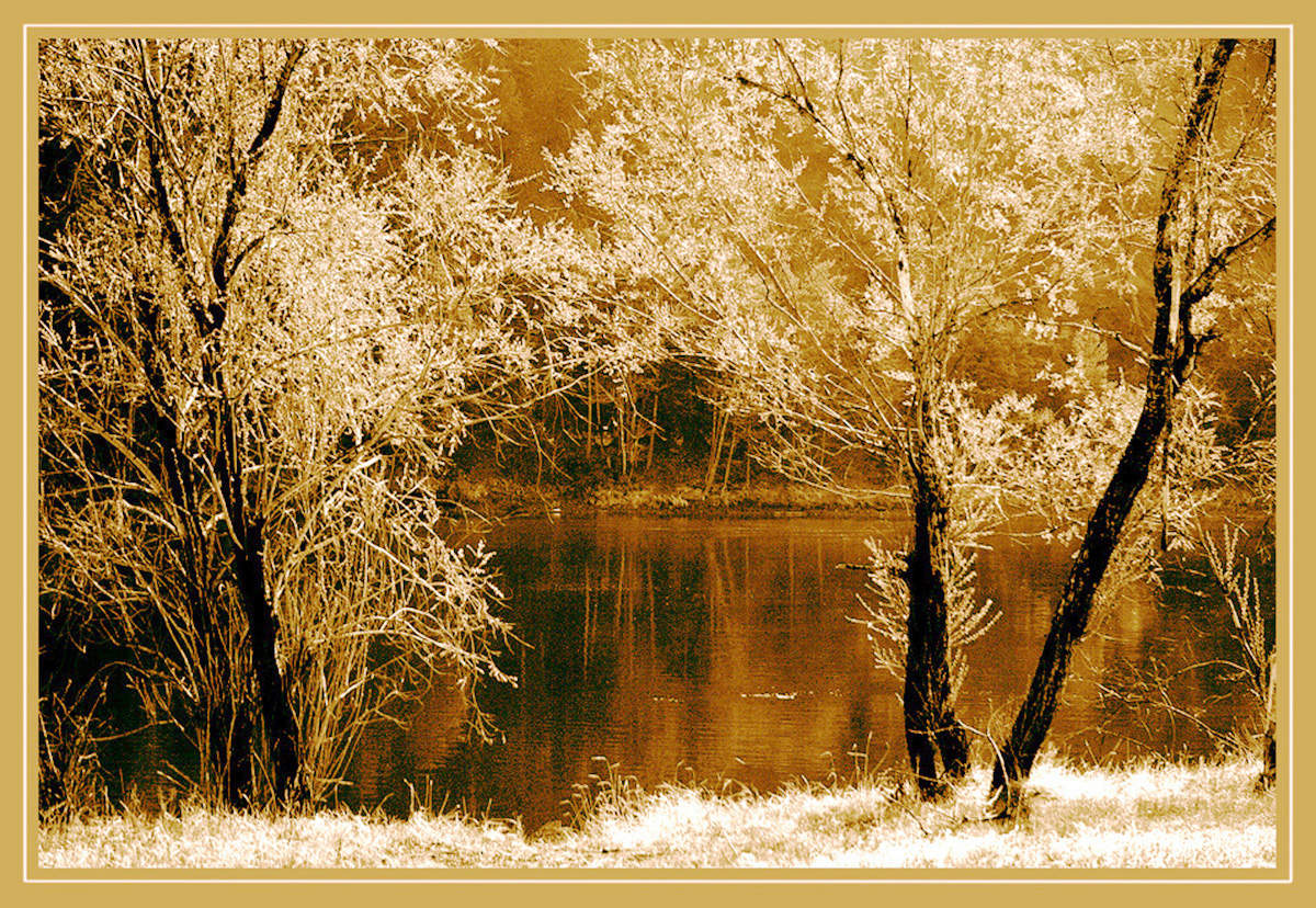 Солнечный берег