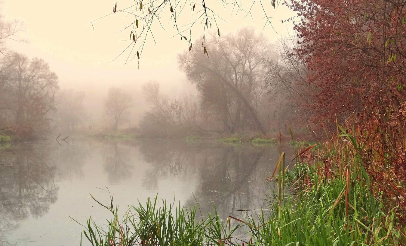 Ноябрьские туманы