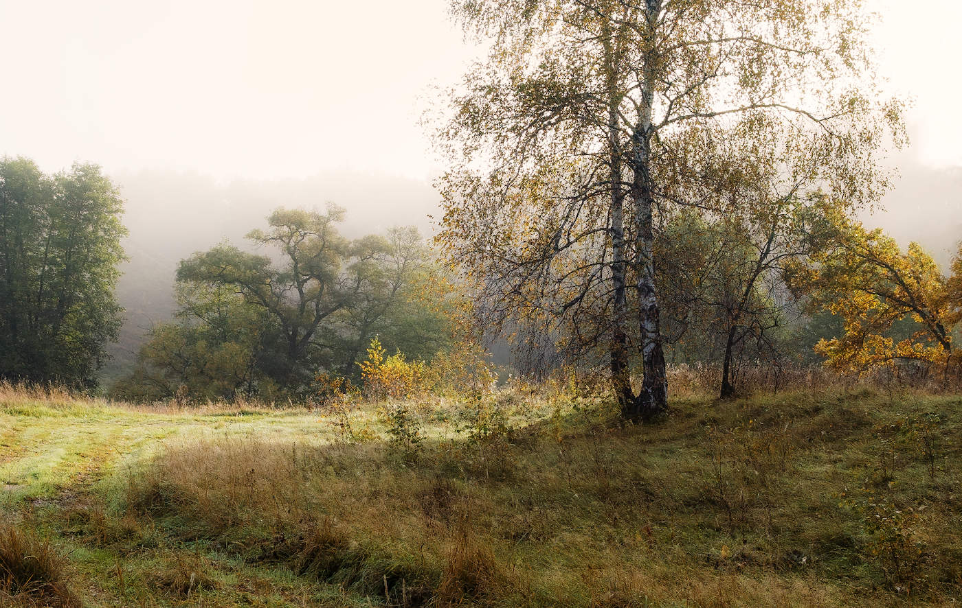 Солнечный туман