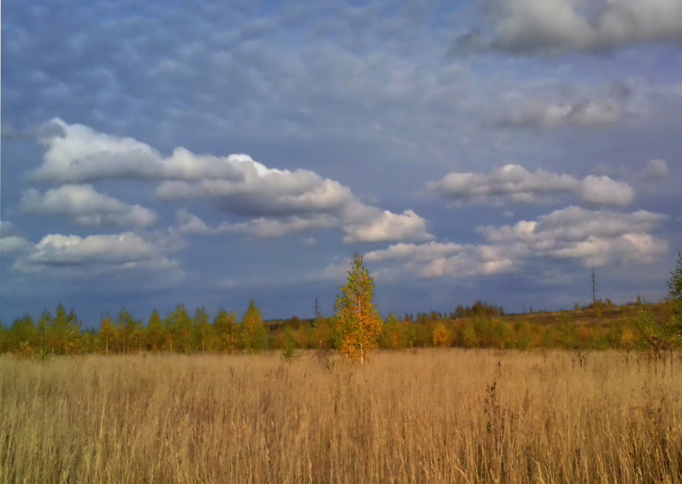 Осеннее настроение.