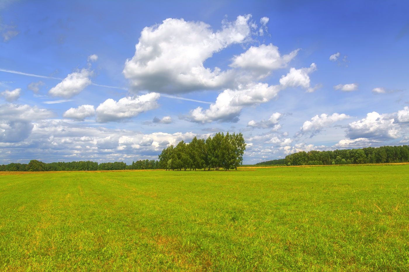 средняя полоса