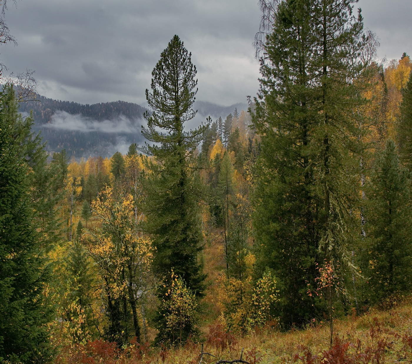 Осень в горах.