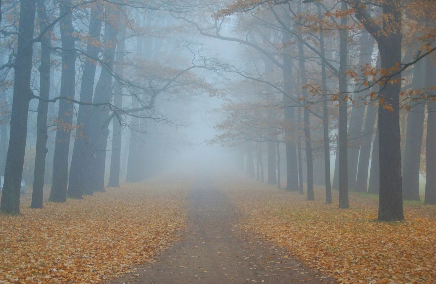 Осеннее утро...