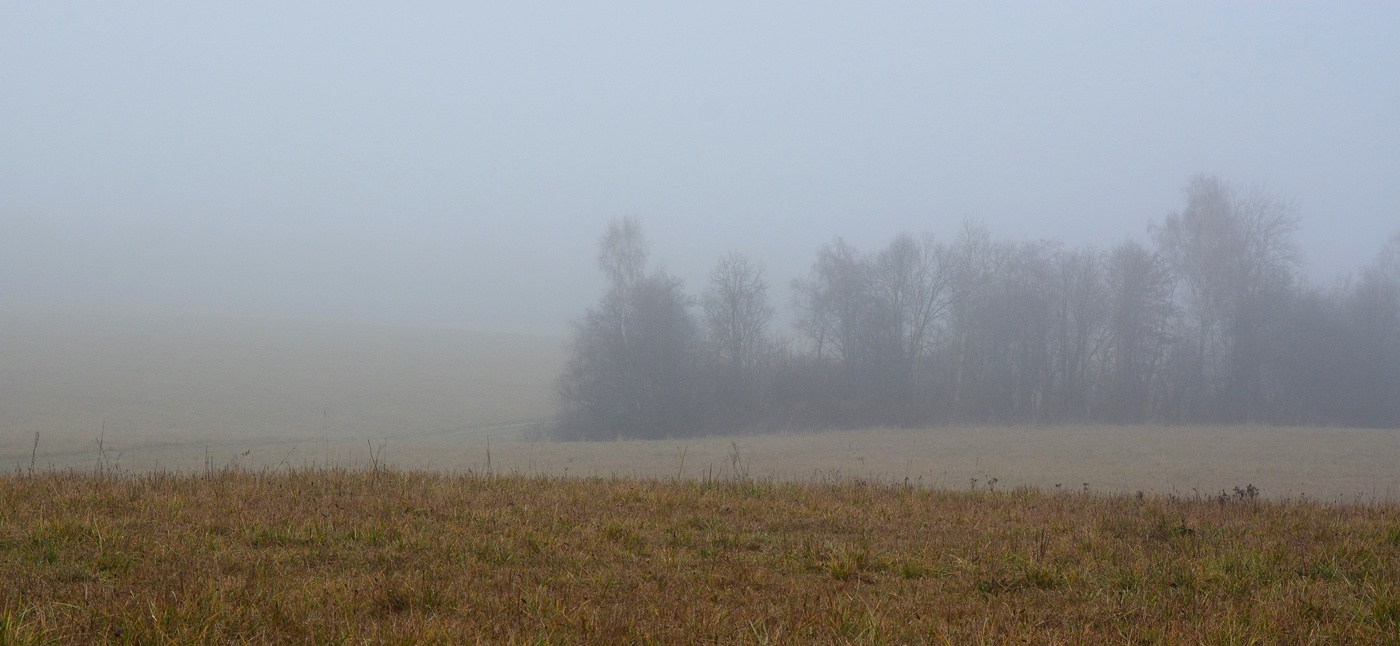 "Так хочется в тумане потеряться ..."