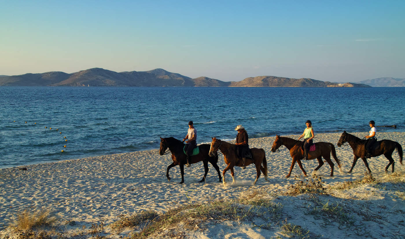 Успеть до заката