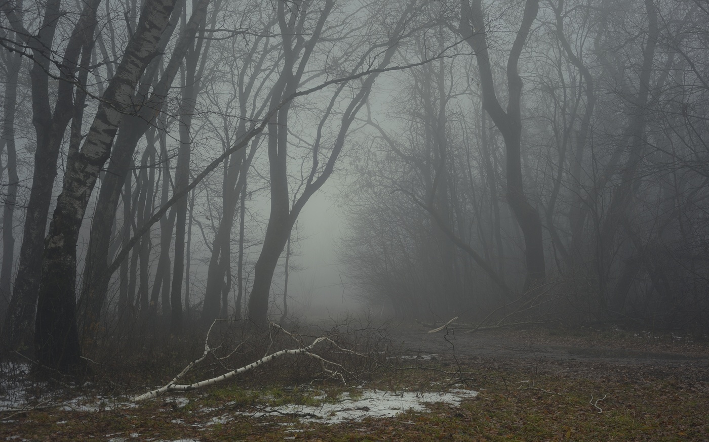 Туманный рассвет