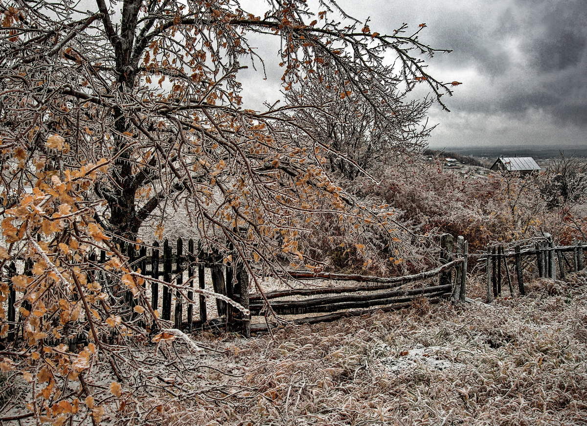 Обледеневшие
