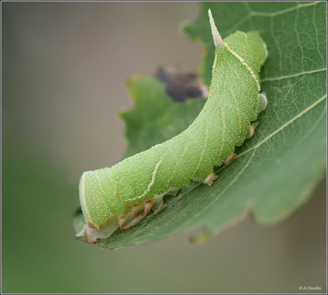 Всё в дело )