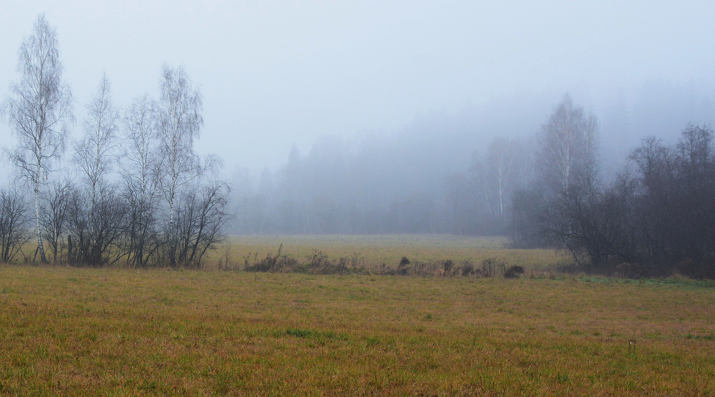 "Опять ноябрь раздел деревья ..."
