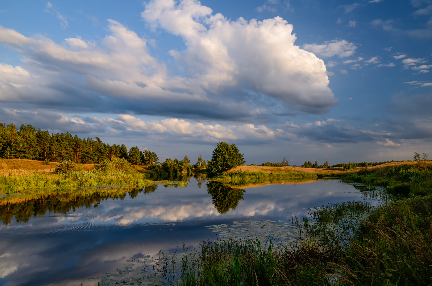 вечер у тихой заводи