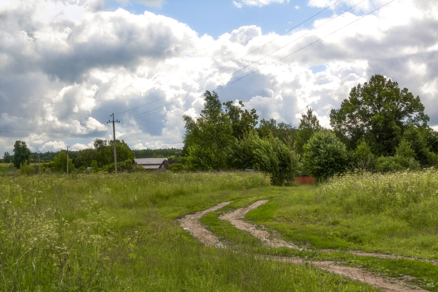 прохладный день
