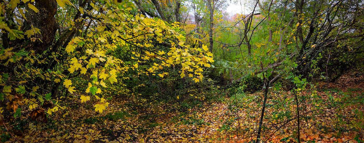 Пылающий сезон