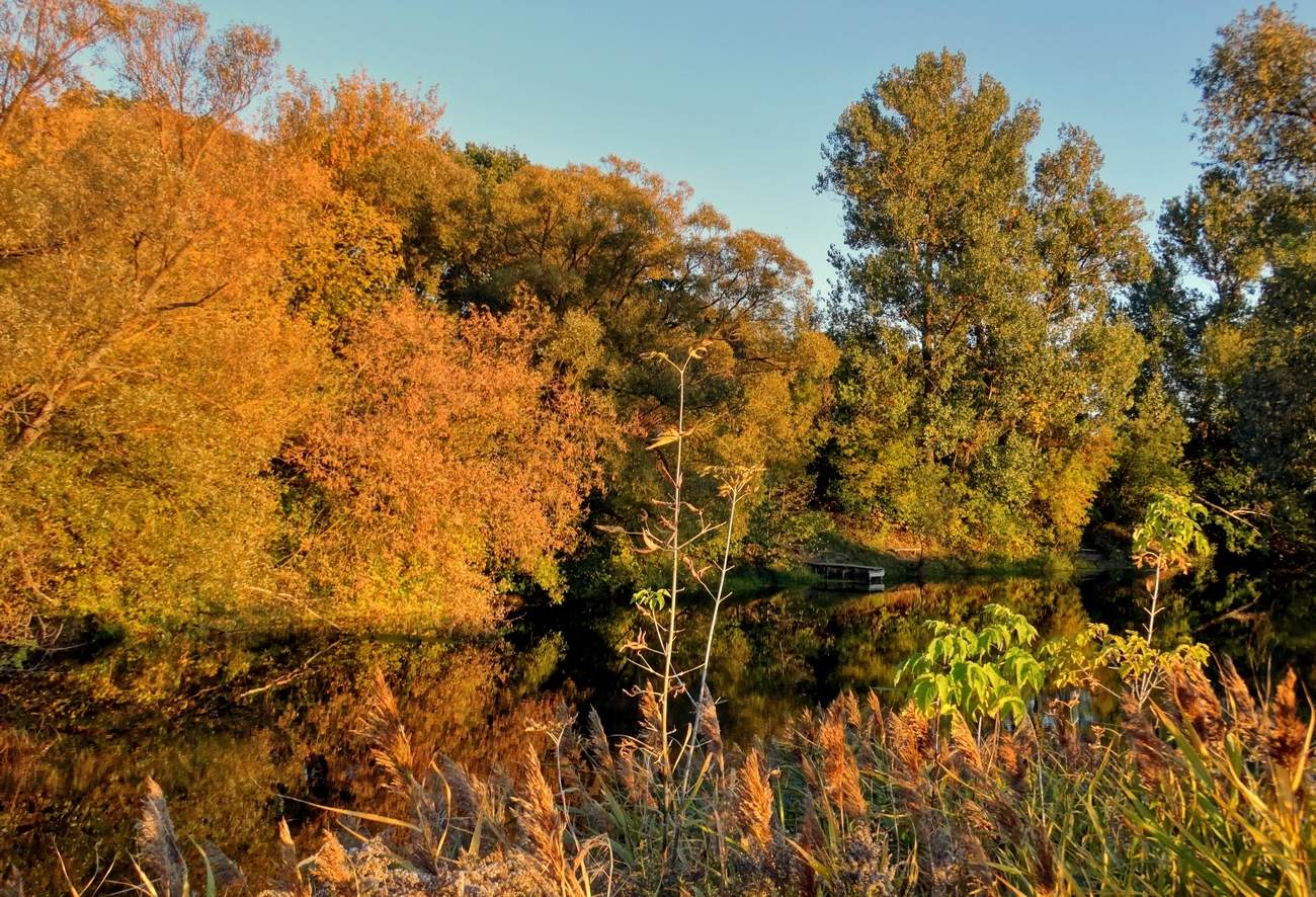 Воспоминания о золотой осени