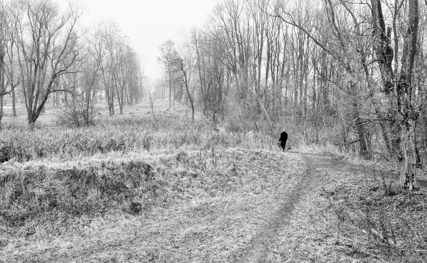 седая осень