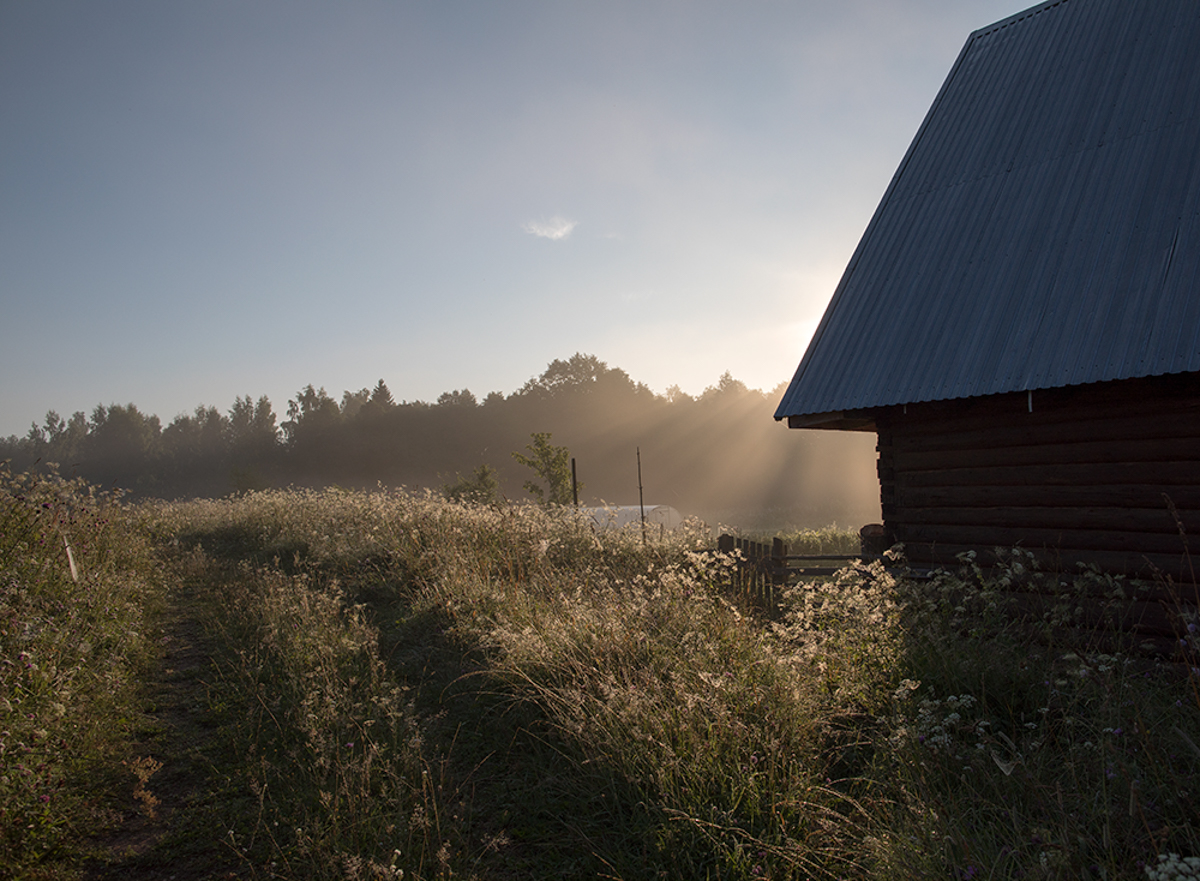 Утро в деревне