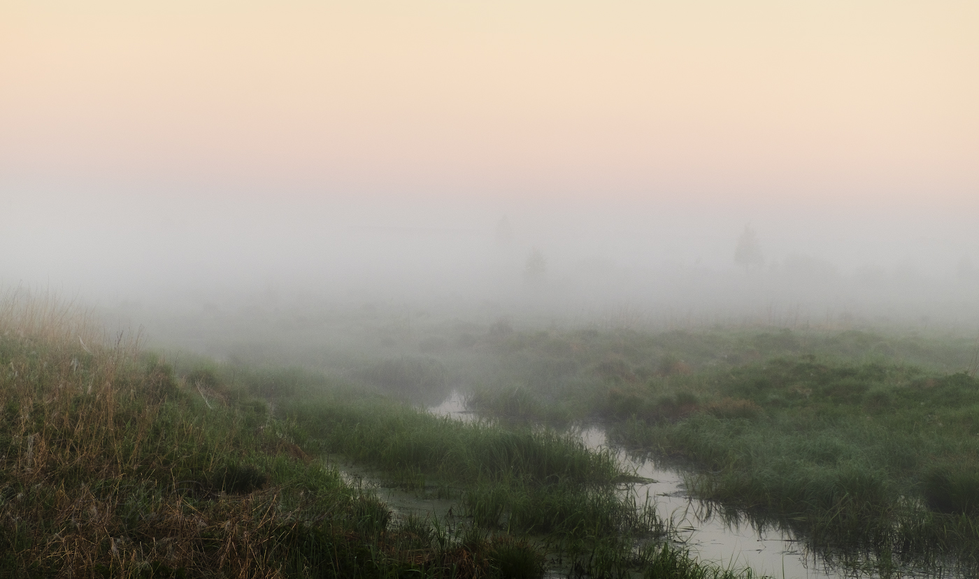Туманная перспектива