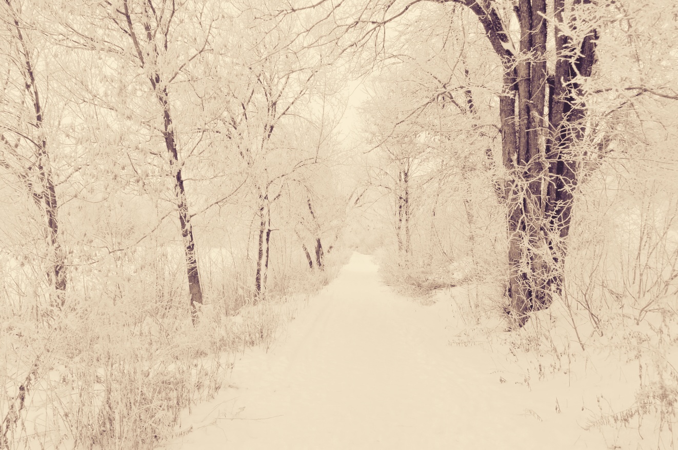 Туманная перспектива