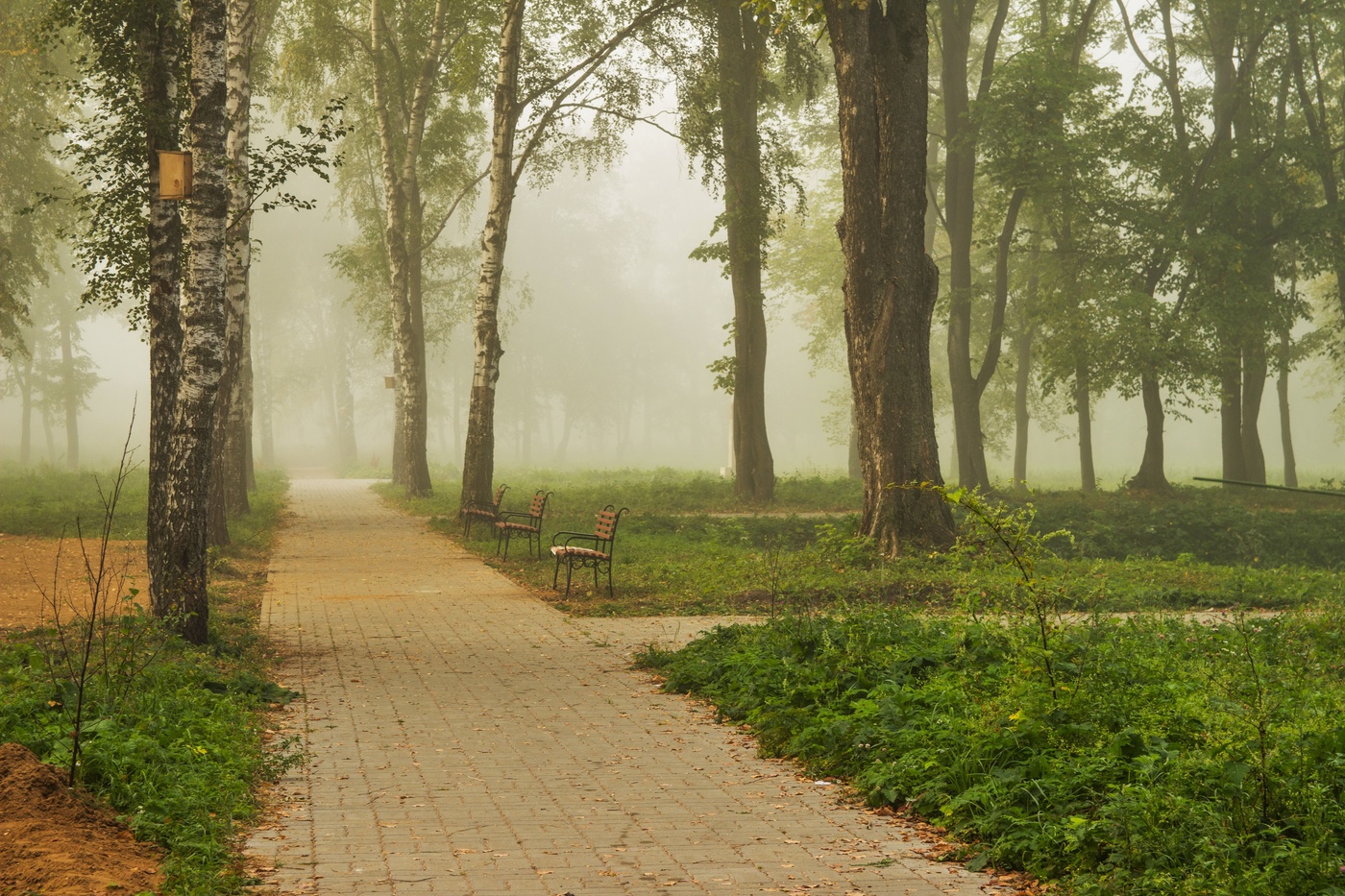 Туманная перспектива