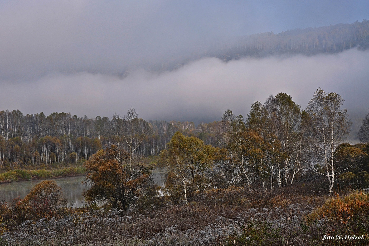 Туманная перспектива