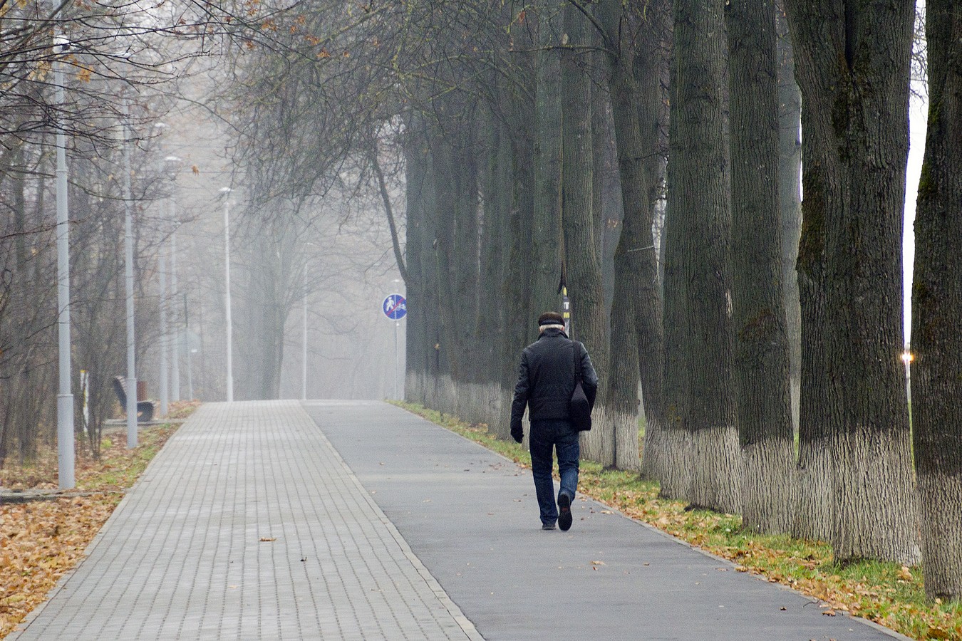 Туманная перспектива
