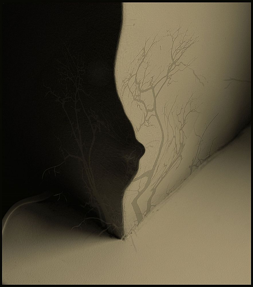 мягкий угол