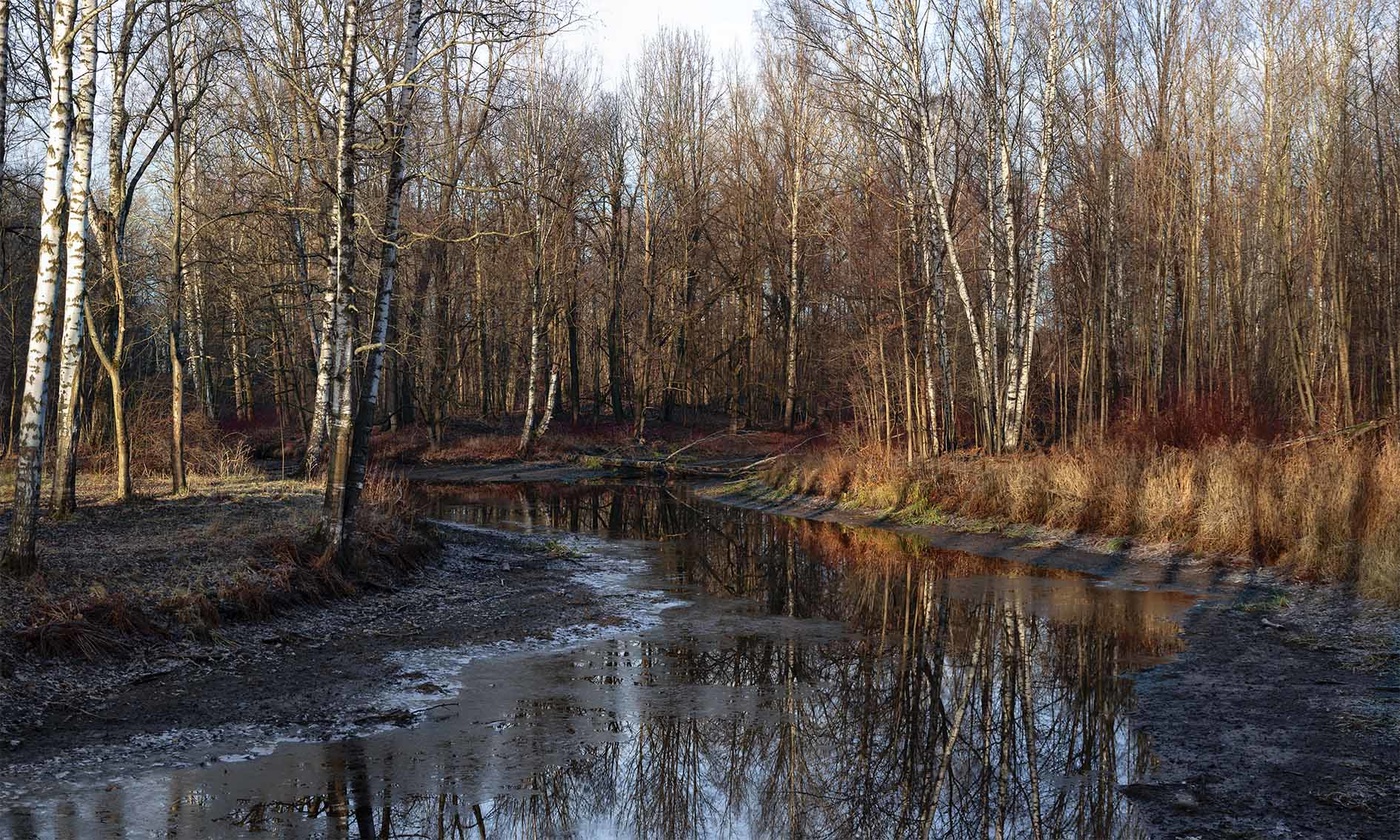 поздняя осень...
