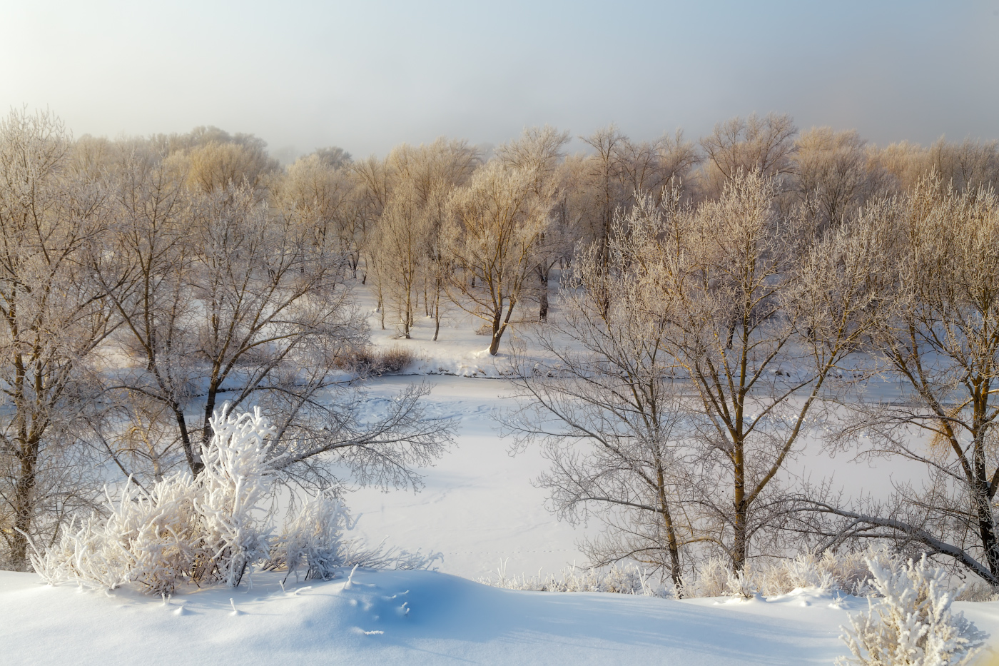 Мороз и туман