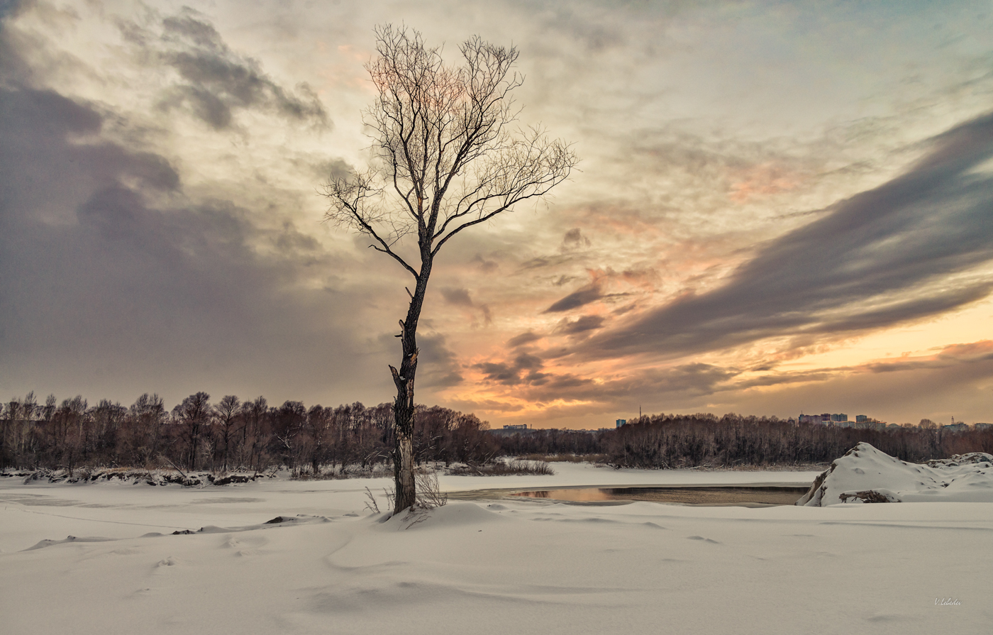 без названия