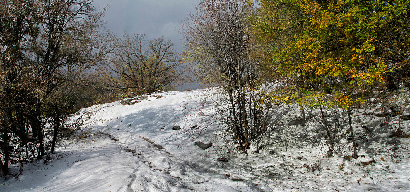 Осенняя зима.