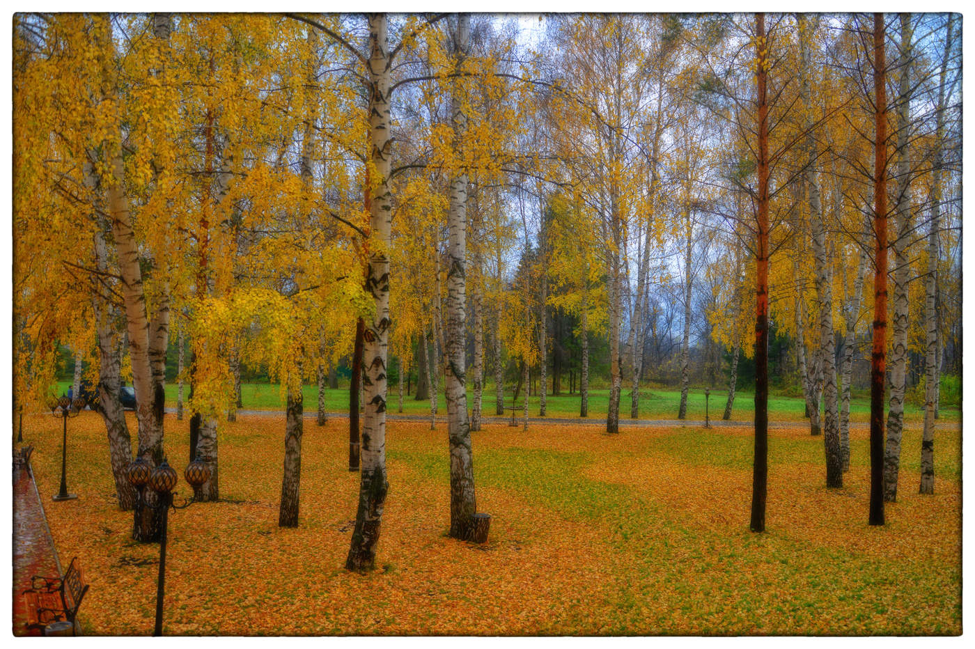 Красота осени!