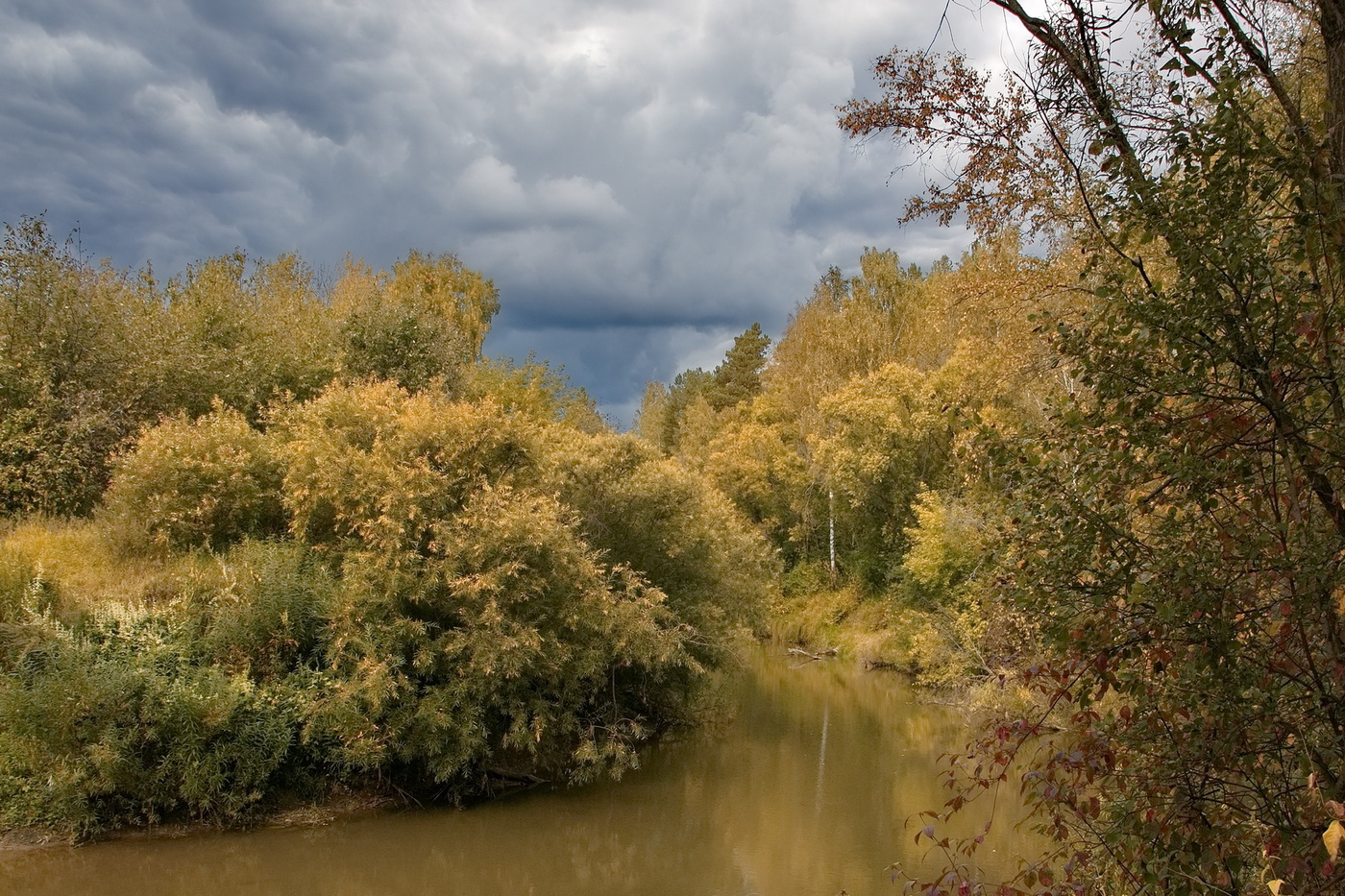 Перед ненастьем.
