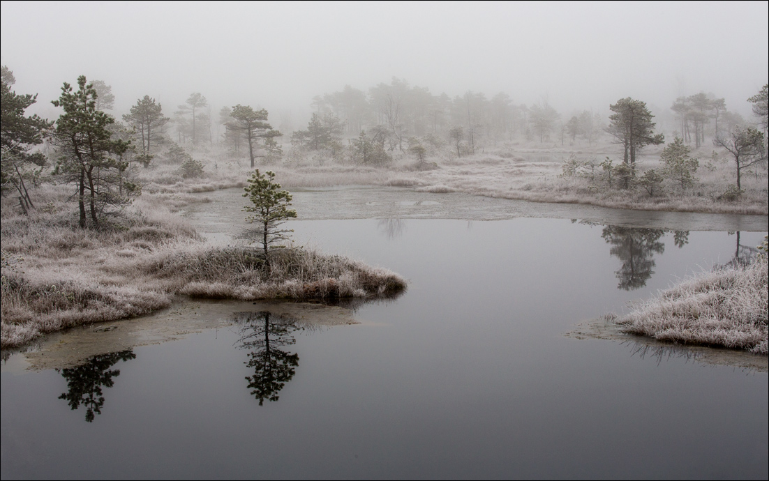 Иней и болото