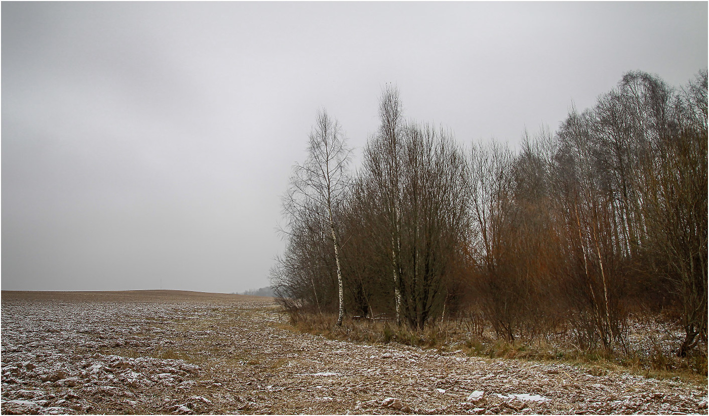 Первый снег