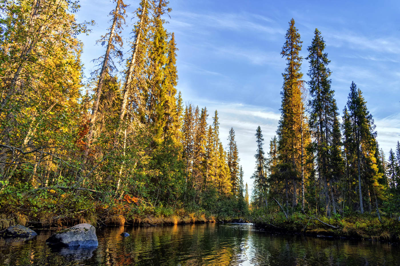 Осени краски.