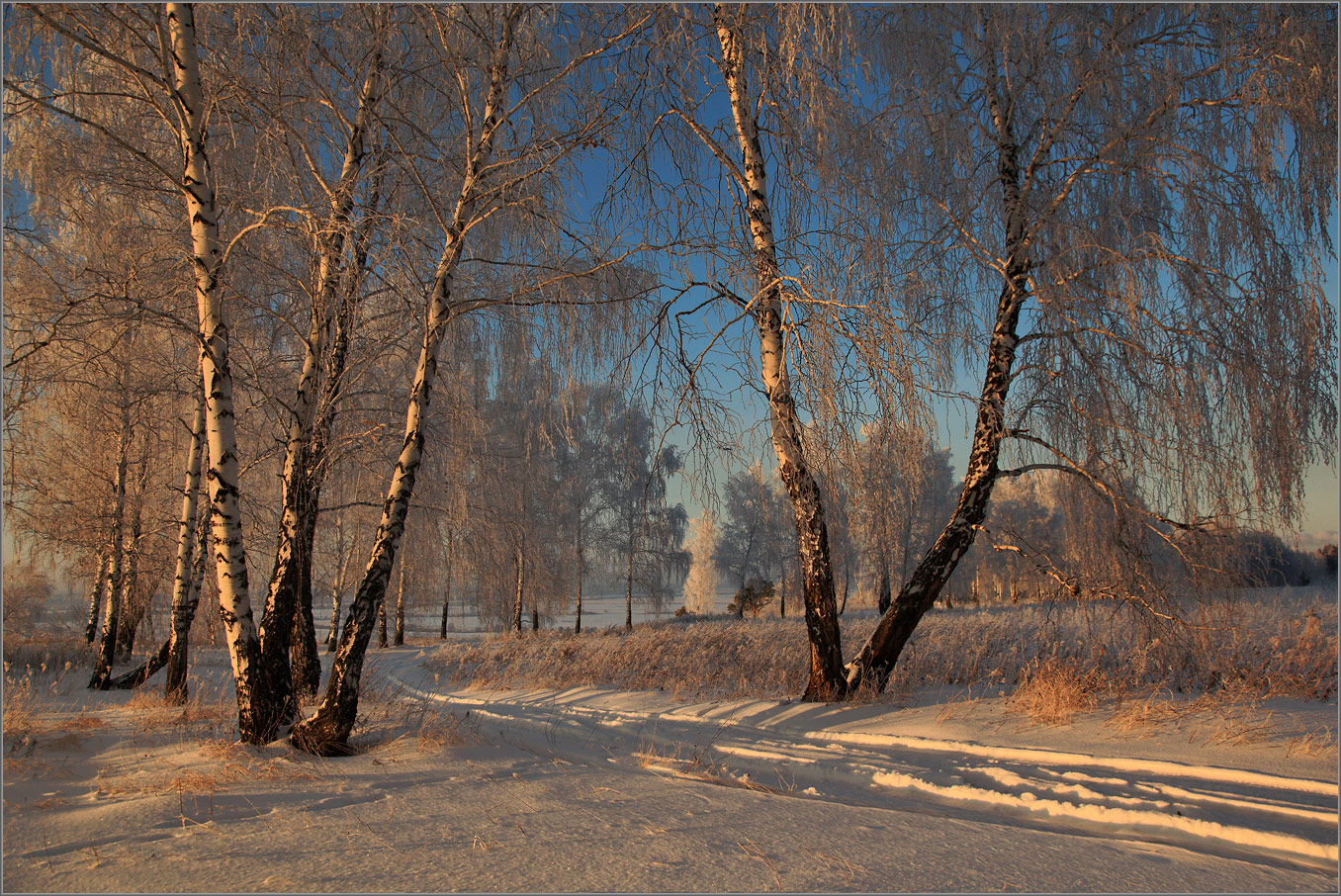 Без названия