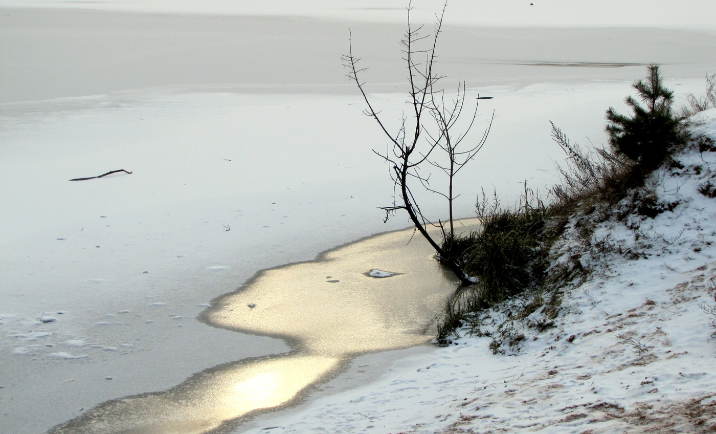 Первый снег