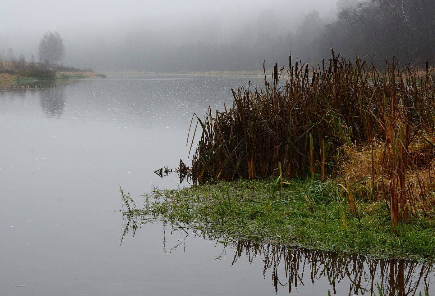 "И погружен в воображенье пейзажа смутный силуэт..."
