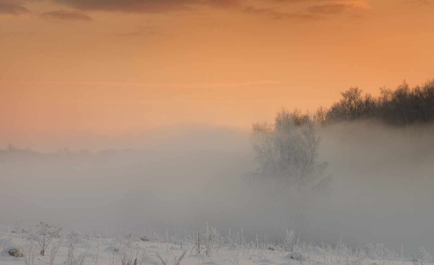 "Однажды в студёную зимнюю пору..."
