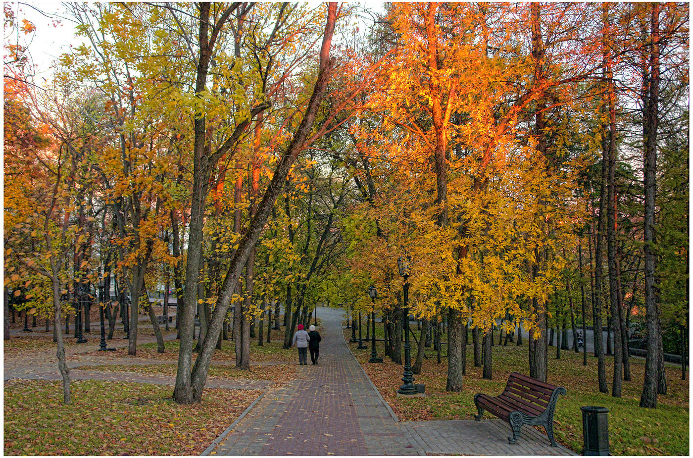 Багрянец на деревьях